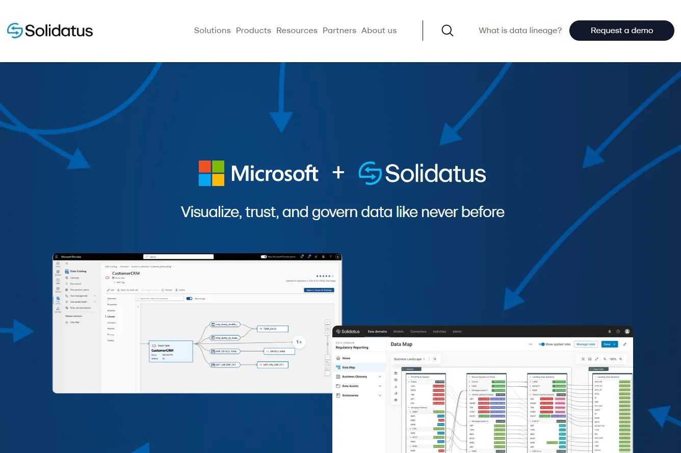 Solidatus homepage screenshot