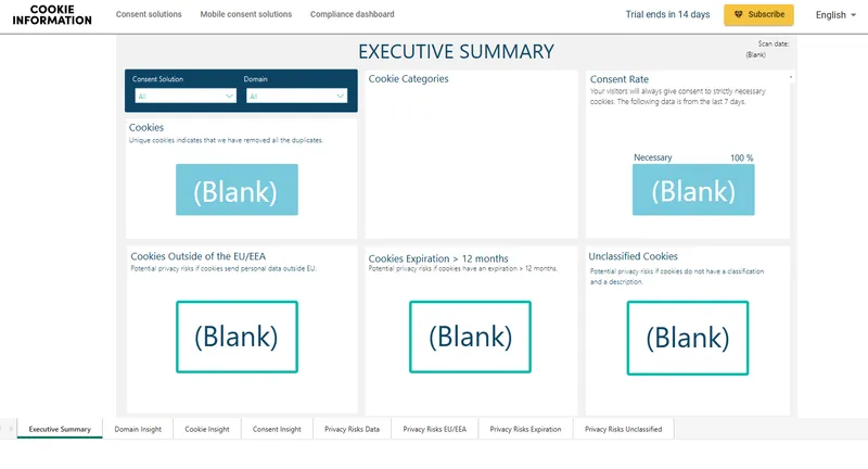 The Executive Summary Reporting Dashboard - still blank as data had not been loaded.