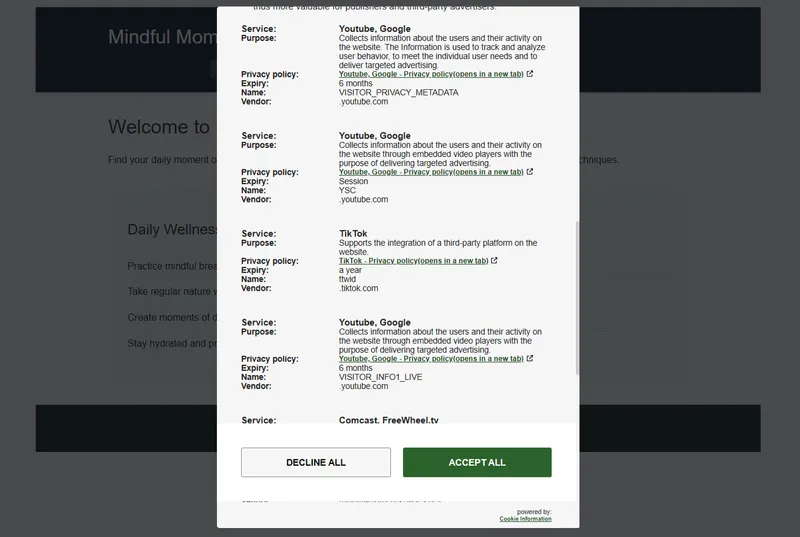 The consent modal, showing cookies automatically categorized.